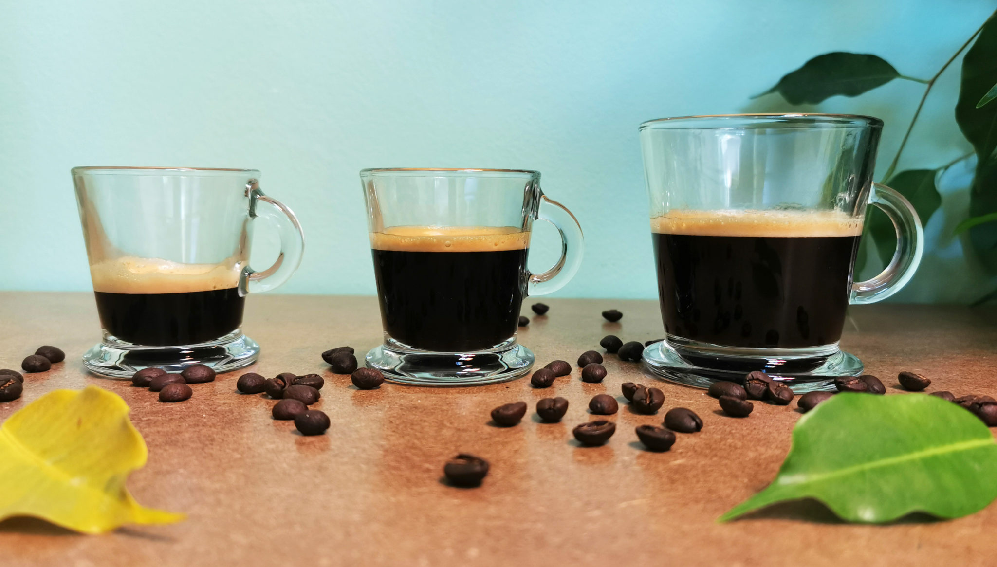 Ristretto vs Espresso vs Lungo OOKA